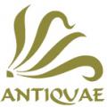 Petites Annonces Gratuites de vos Antiquit�s sur ANTIQUAE� 