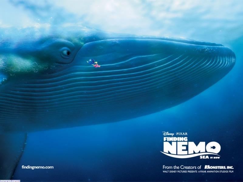 Wallpaper nemo Cinema Video