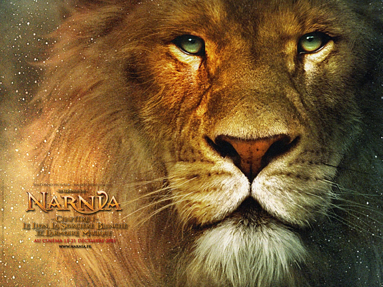 Wallpaper Lion Aslan Le Monde de Narnia