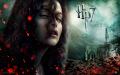 Wallpaper Harry Potter HP7 Bellatrix