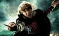 Wallpaper HP7 Ron Weasley - Rupert Grint