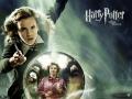 Wallpaper Harry Potter Hermione Granger