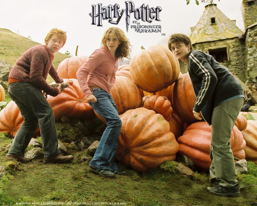 Wallpaper Harry Potter Prisonnier Azkaban