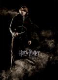 Wallpaper Harry Potter Ron Weasley