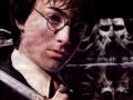 Wallpaper Harry Potter harry potter et la chambre des secrets