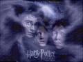 Wallpaper Harry Potter hermione harry ron