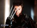 Wallpaper X-men wolverine