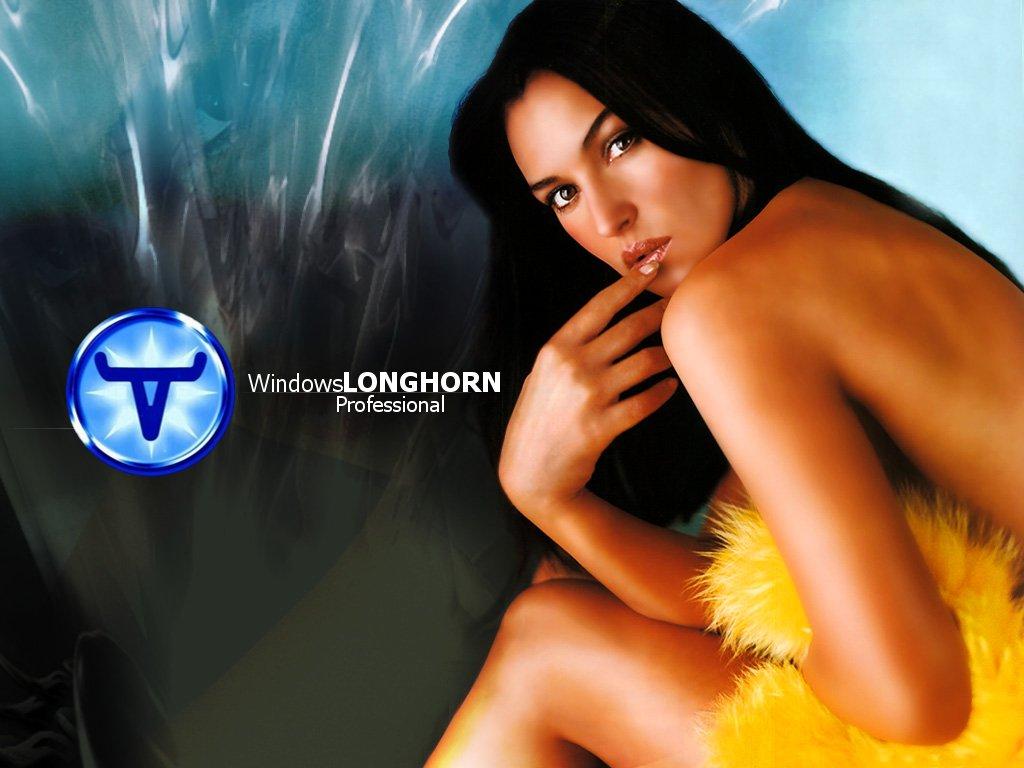 Wallpaper Theme Windows XP Sexy longhorn