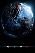 Wallpaper iPhone Alien VS Predator Requiem