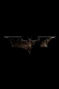 Wallpaper iPhone Batman logo