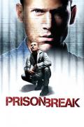 Wallpaper Prison Break Michael Scofield Wentworth Miller