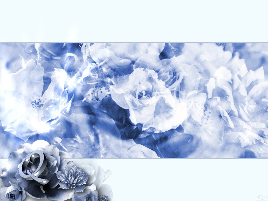 Wallpaper Design Web fleur