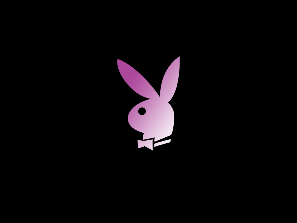 Wallpaper Design Web lapin