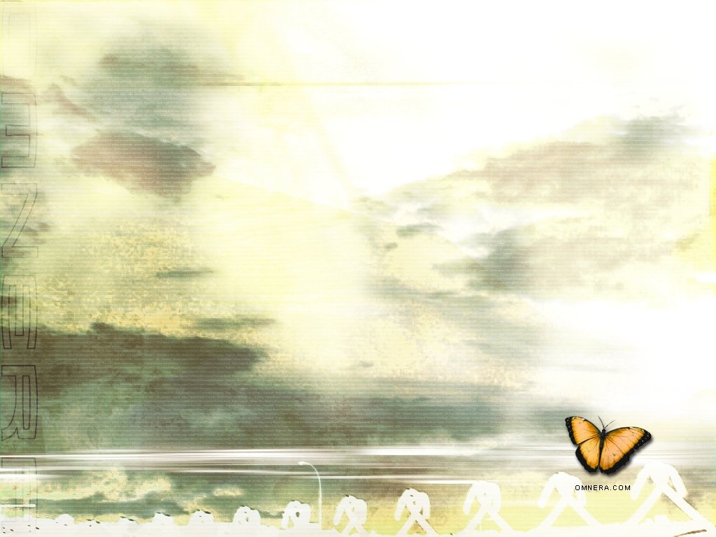 Wallpaper papillon Design Web