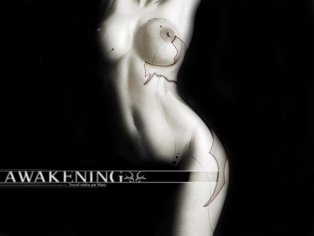 Wallpaper awakening Design Web