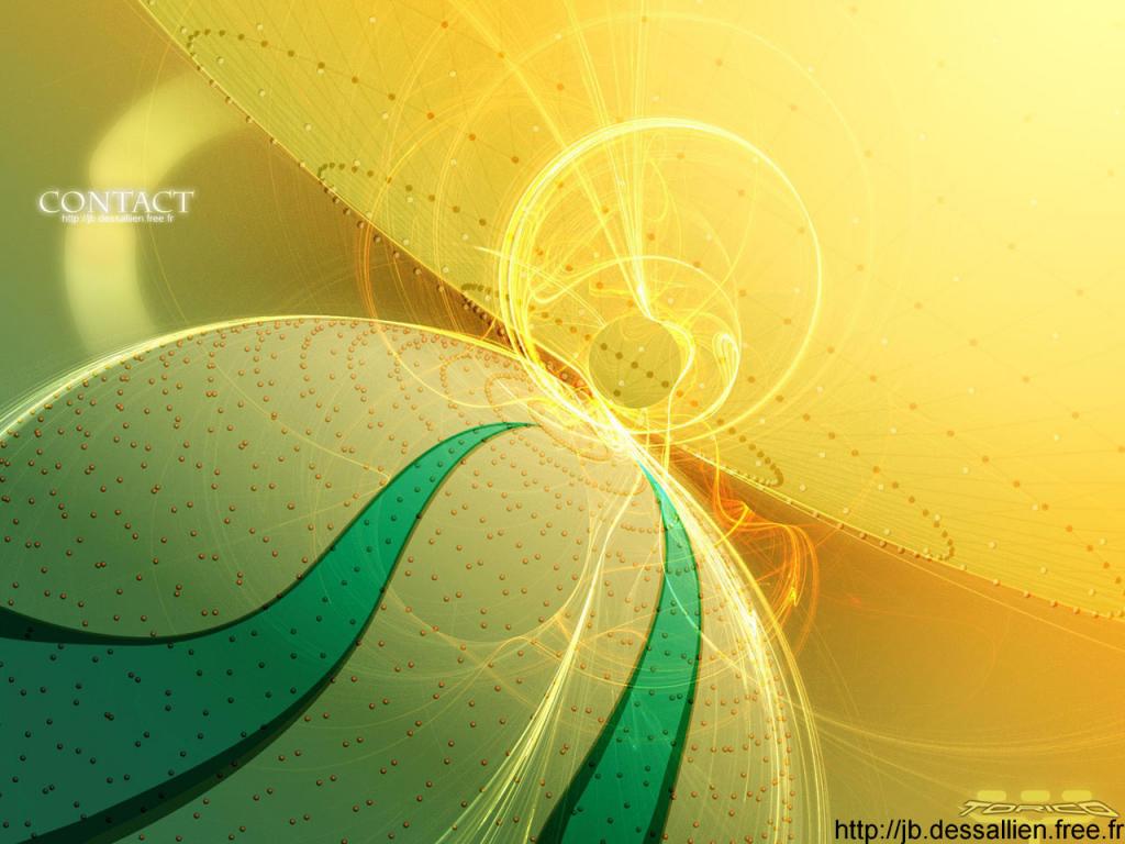 Wallpaper Design Web contact