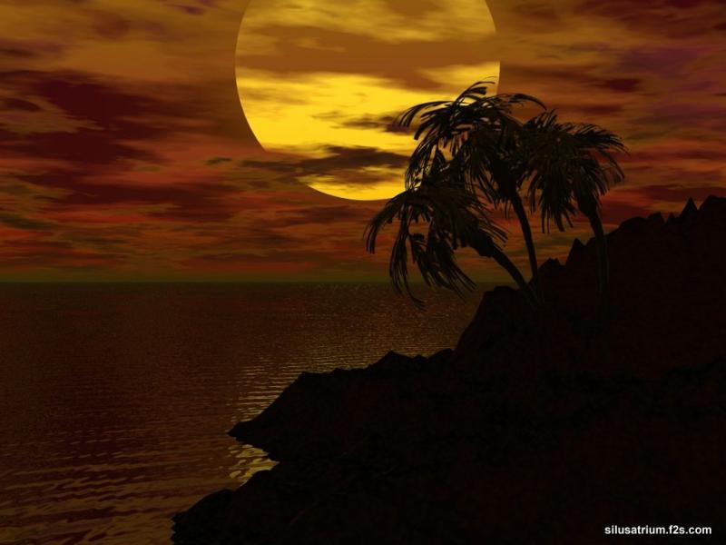 Wallpaper Design Web coucher de soleil