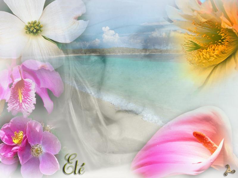 Wallpaper ete Design Web