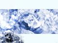 Wallpaper Design Web fleur