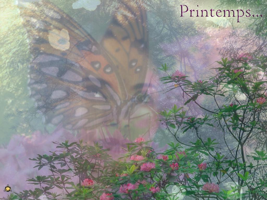 Wallpaper printemps Design Web