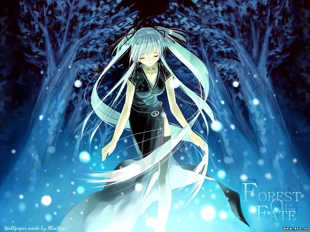 Wallpaper Manga forest of fate