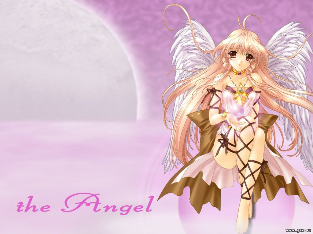 Wallpaper the angel Manga