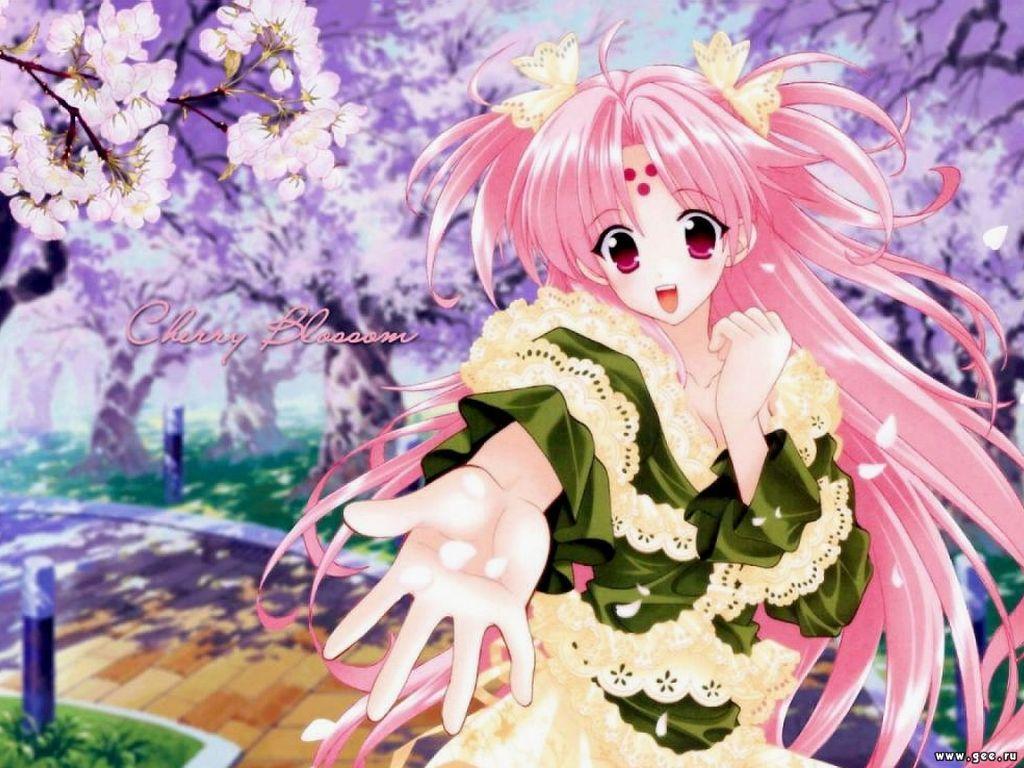 Wallpaper cherry blossom Manga