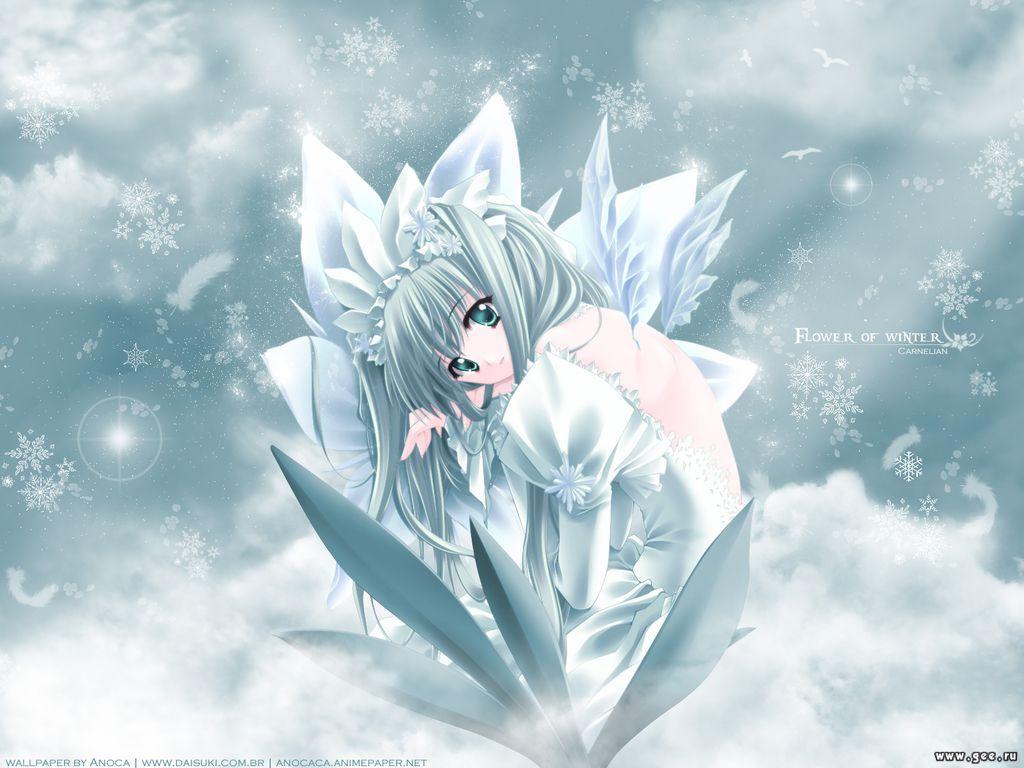 Wallpaper Manga flower of winter