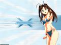 Wallpaper Manga love hina TSLW