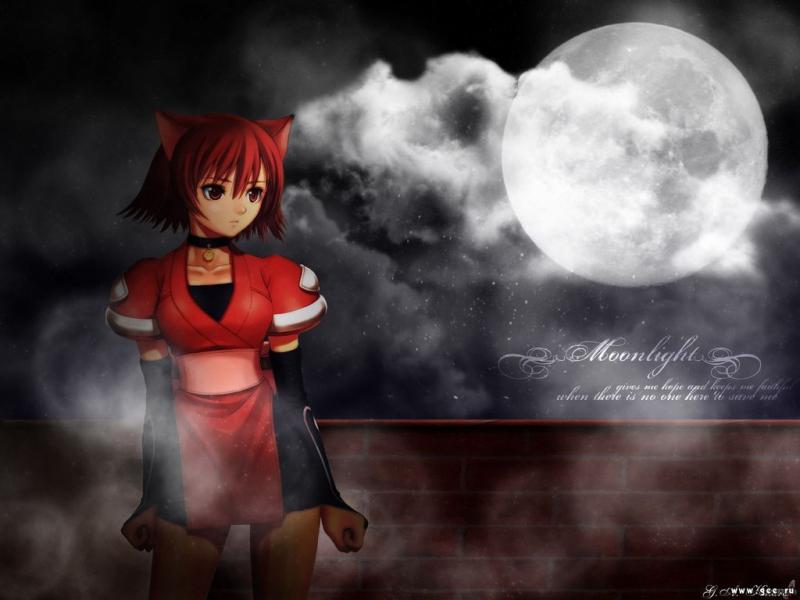 Wallpaper Manga moonlight