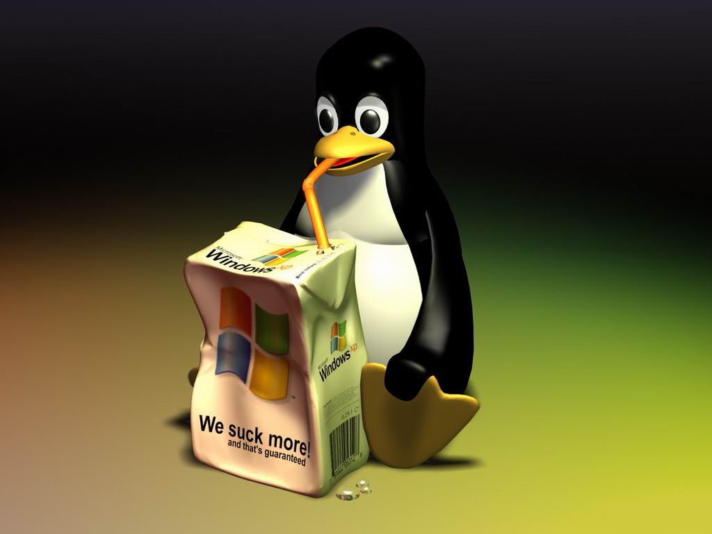 Wallpaper pingouin Theme Windows XP