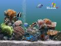 Wallpaper Theme Windows XP aquarium