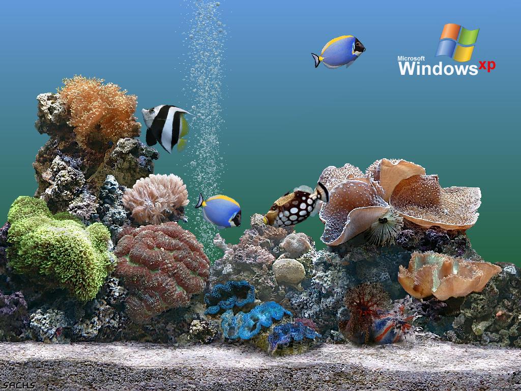 Wallpaper aquarium Theme Windows XP