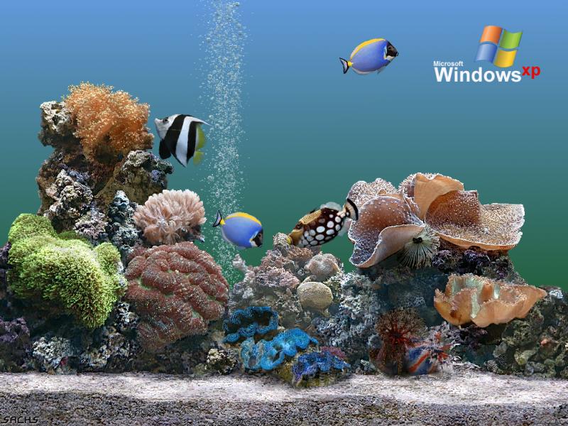 Wallpaper aquarium Theme Windows XP