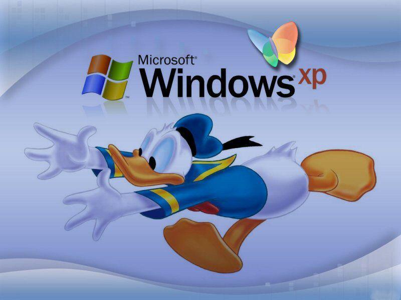 Wallpaper donald Theme Windows XP