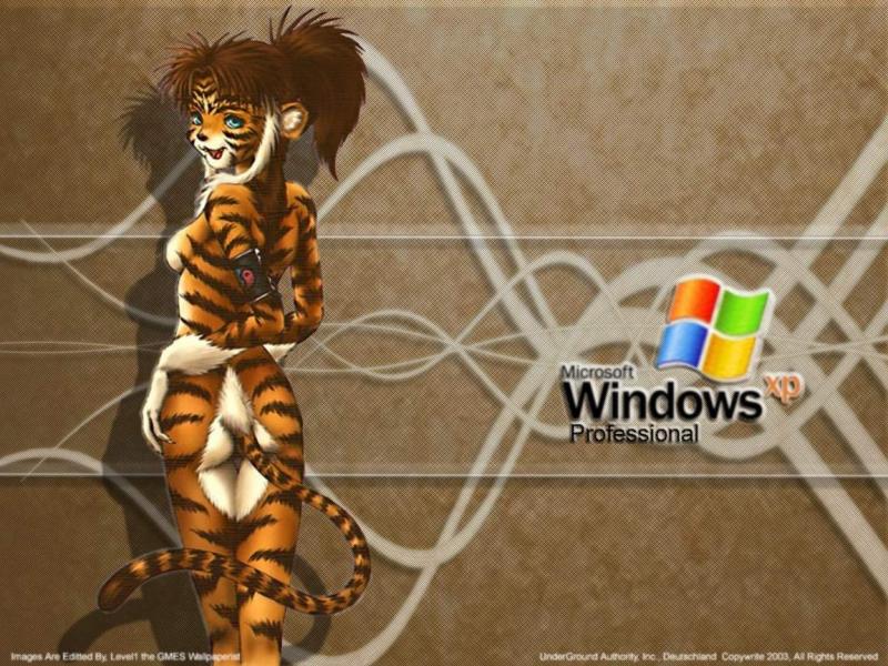 Wallpaper tigresse Theme Windows XP