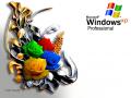 Wallpaper Theme Windows XP WIN XP Roses