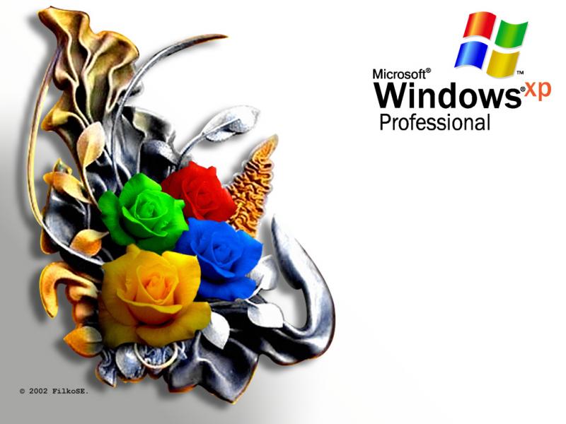 Wallpaper WIN XP Roses Theme Windows XP