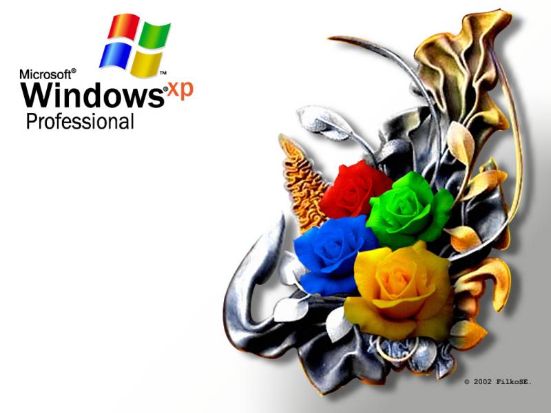 Wallpaper Theme Windows XP WIN XP Roses