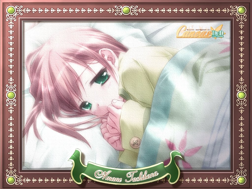 Wallpaper amane tachibana Canvas