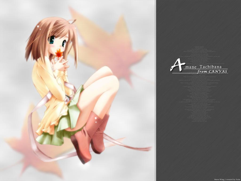 Wallpaper Canvas amane tachibana