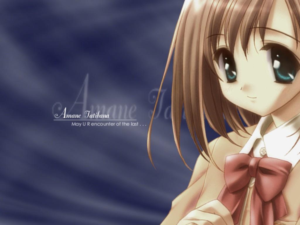 Wallpaper Canvas amane tachibana