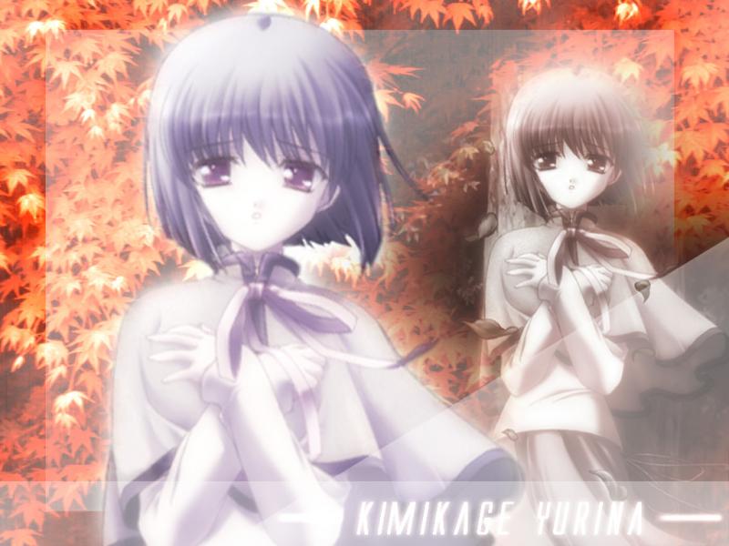 Wallpaper Canvas kimikage yurina