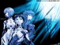 Wallpaper Evangelion le trio