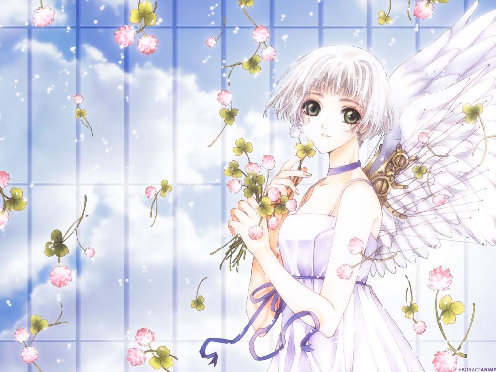 Wallpaper ange Soft