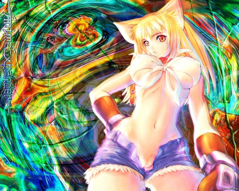 Wallpaper gentil minou Soft