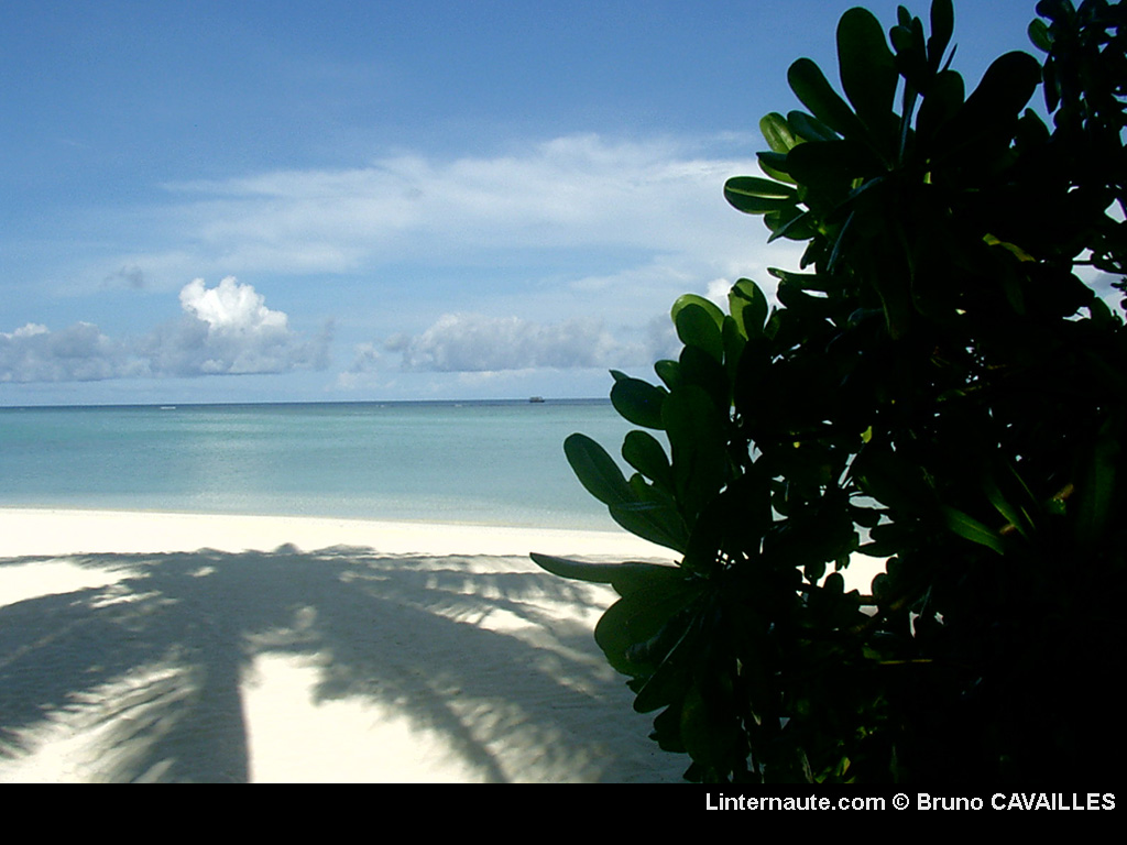 Wallpaper laguna beach resort maldives Paysages