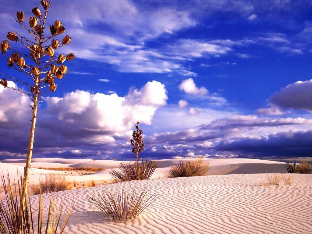 Wallpaper desert Paysages