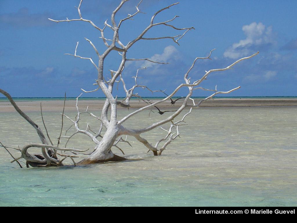 Wallpaper polynesie francaise Paysages