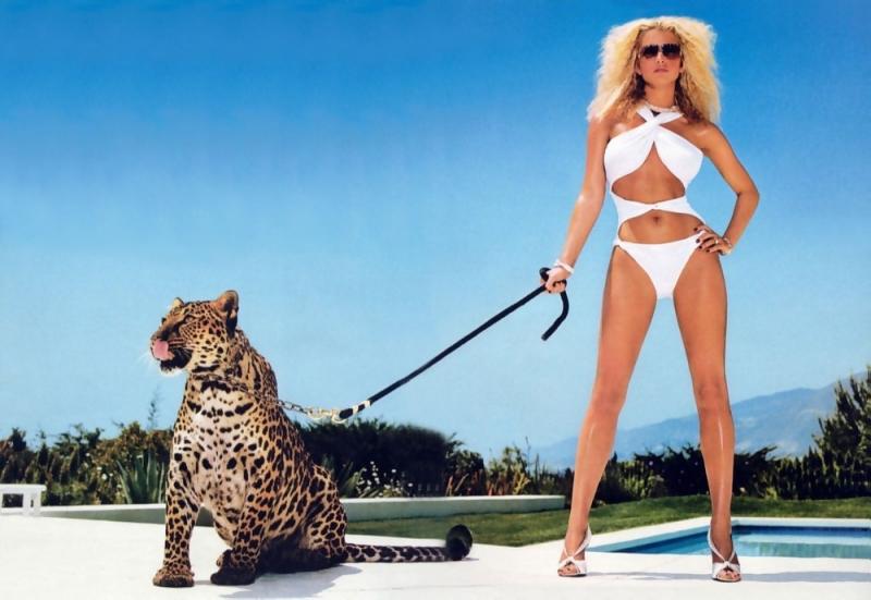 Wallpaper jolie tigre Jessica Simpson